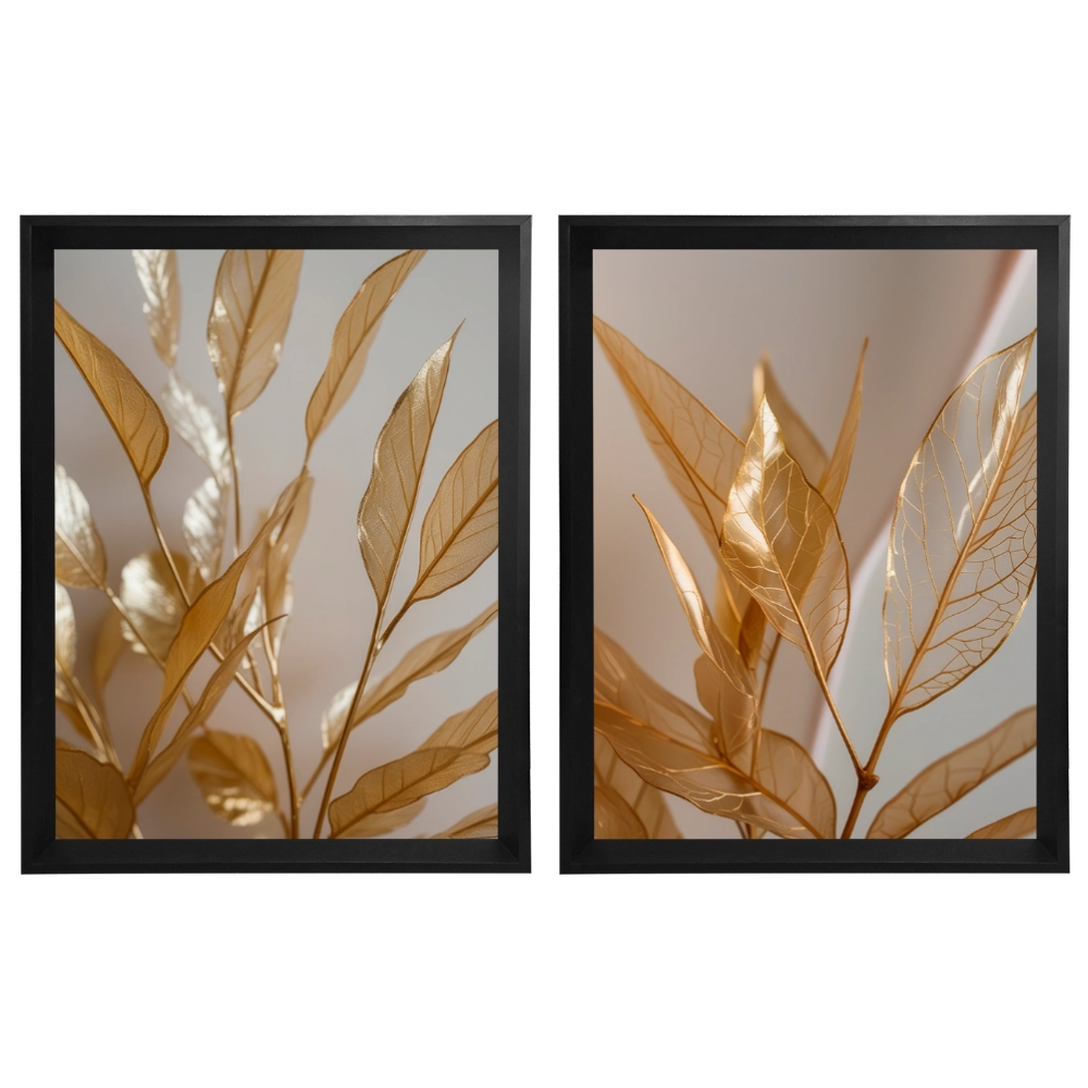 Kit 2 Quadros: Aura Nobre