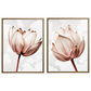 Kit 2 Quadros: Floral Rosa Sublime
