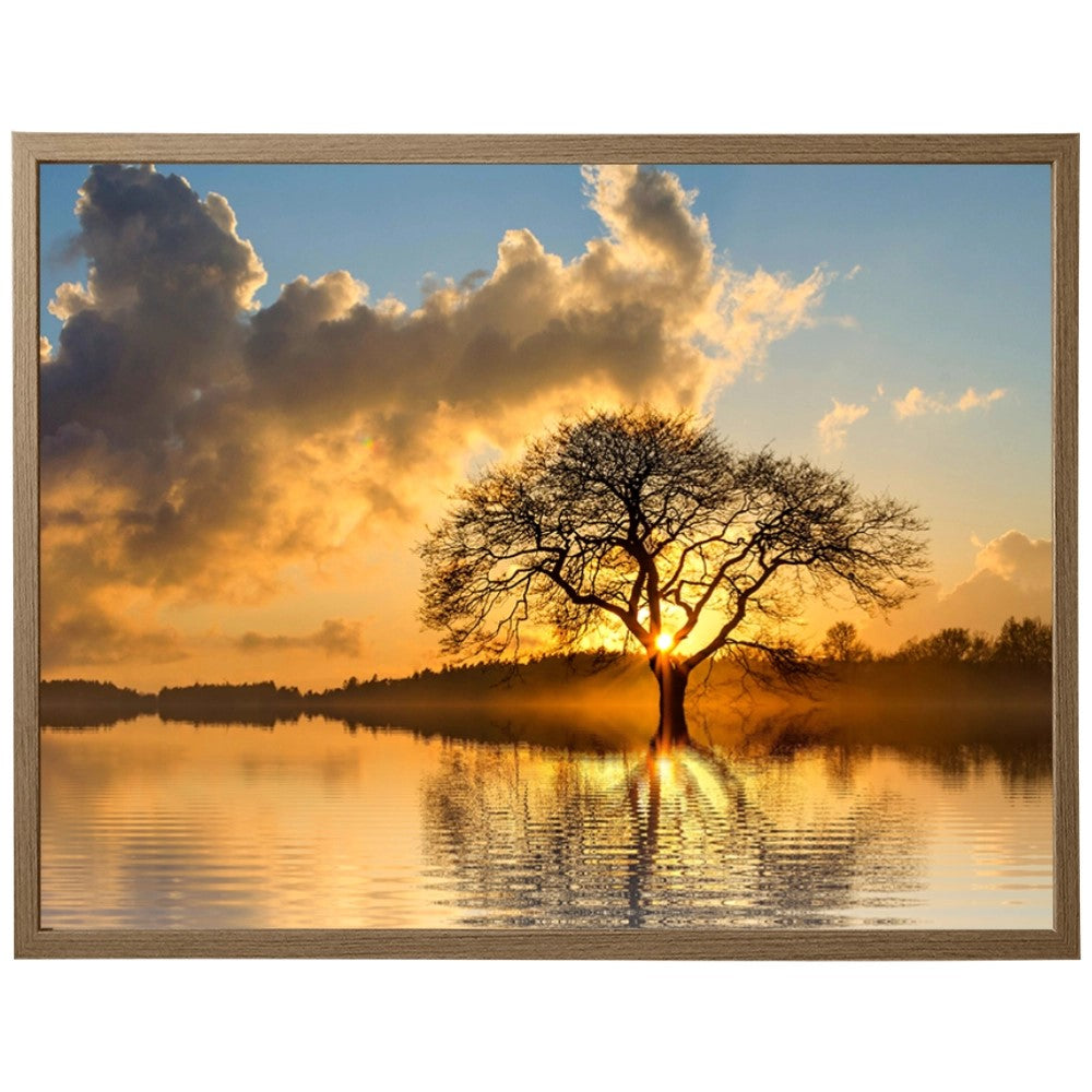 Raízes do Entardecer