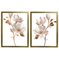 Kit 2 Quadros: Duo Floral Dourado
