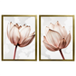 Kit 2 Quadros: Floral Rosa Sublime
