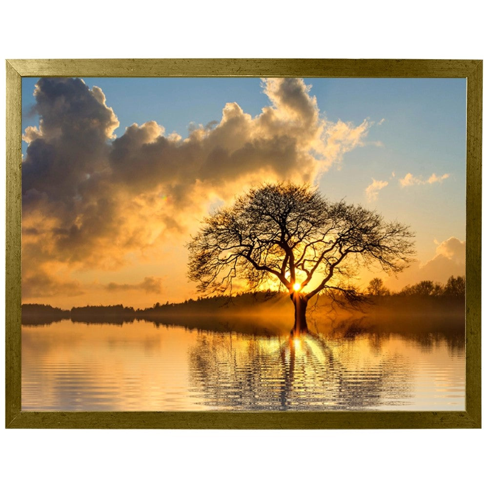 Raízes do Entardecer