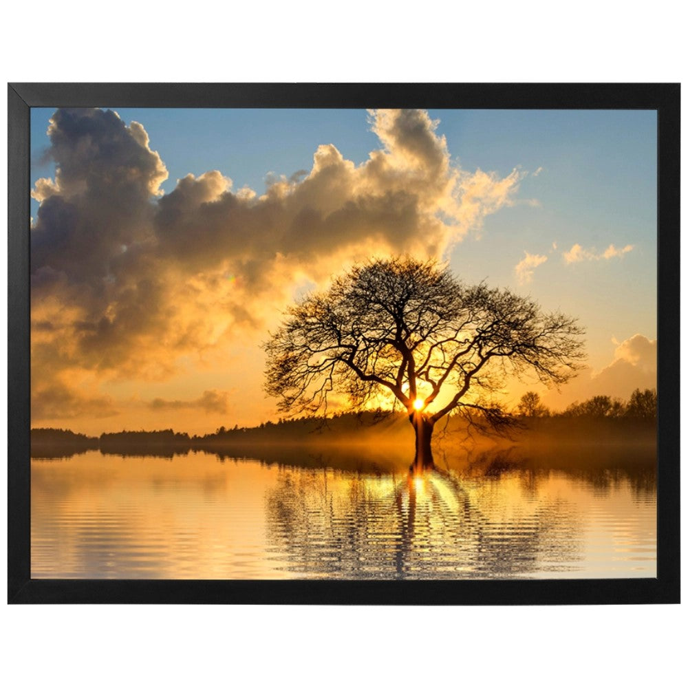 Raízes do Entardecer