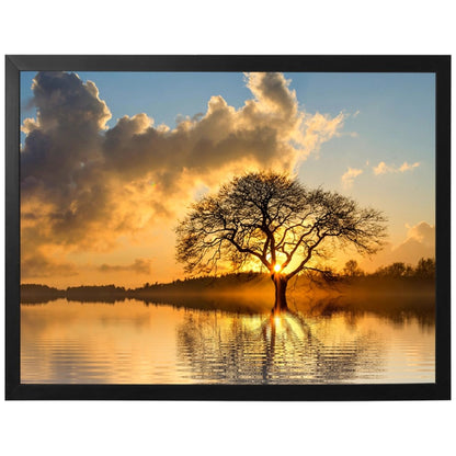 Raízes do Entardecer