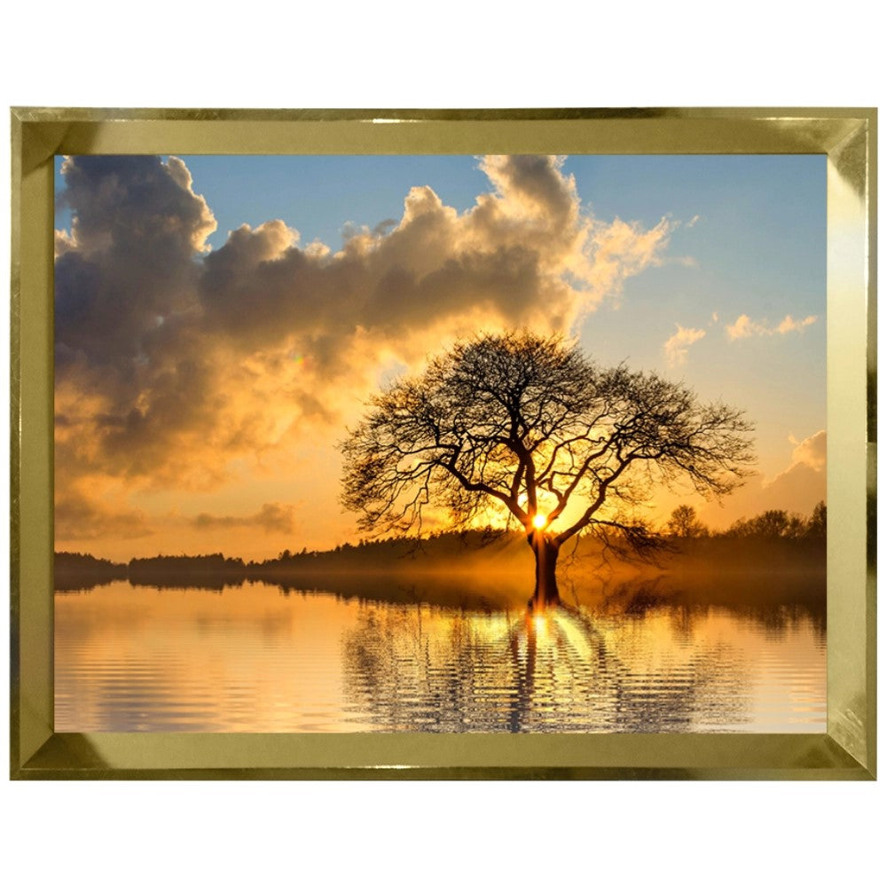 Raízes do Entardecer