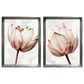 Kit 2 Quadros: Floral Rosa Sublime