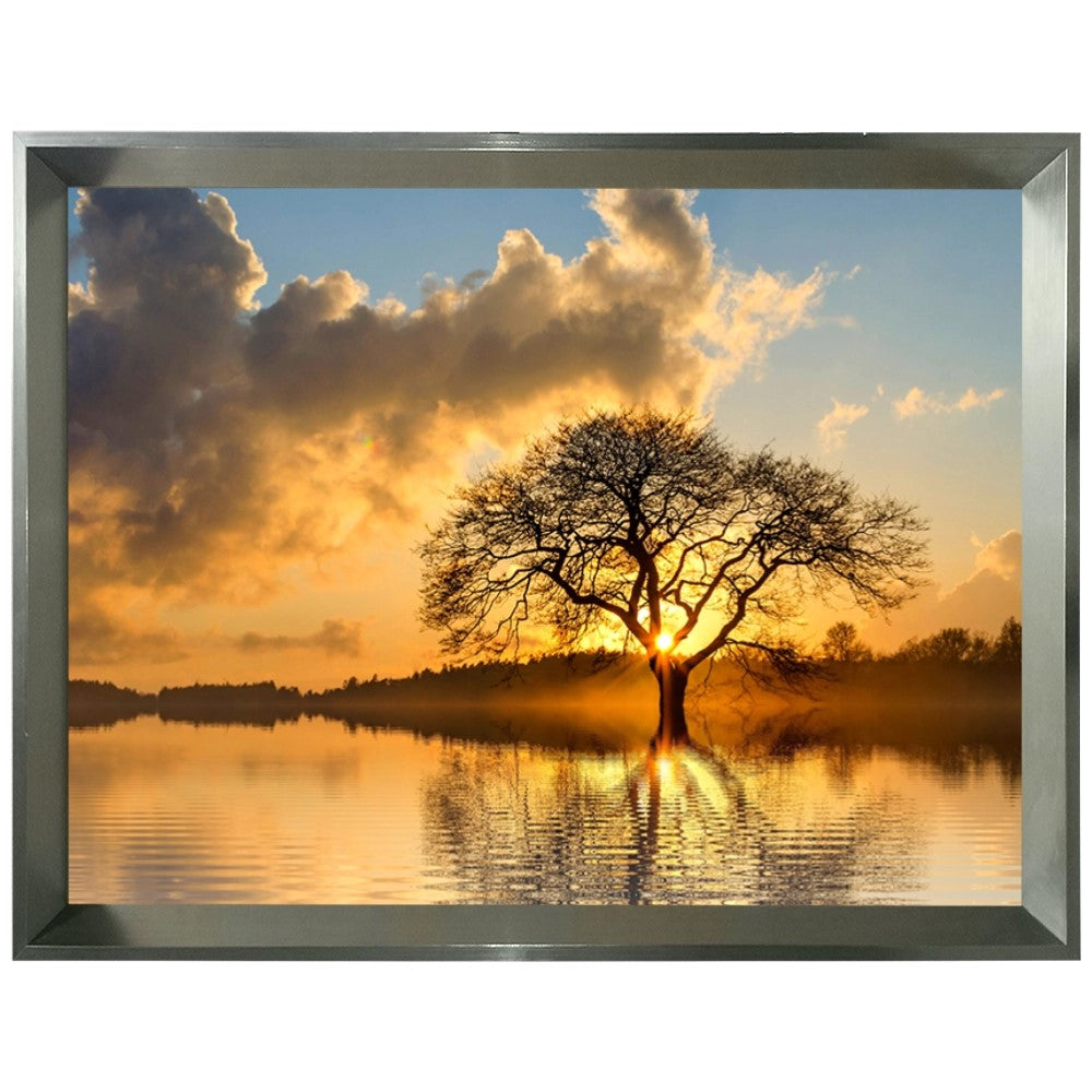 Raízes do Entardecer