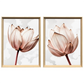 Kit 2 Quadros: Floral Rosa Sublime