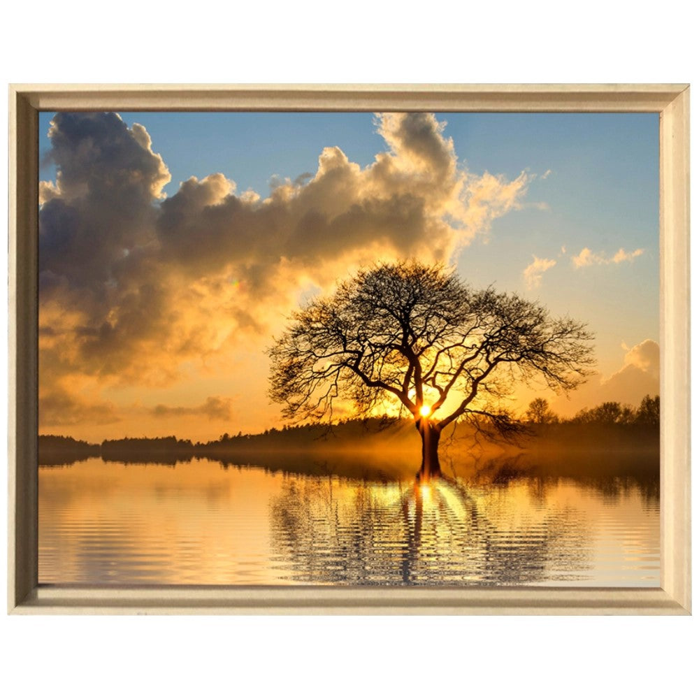 Raízes do Entardecer