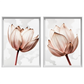 Kit 2 Quadros: Floral Rosa Sublime