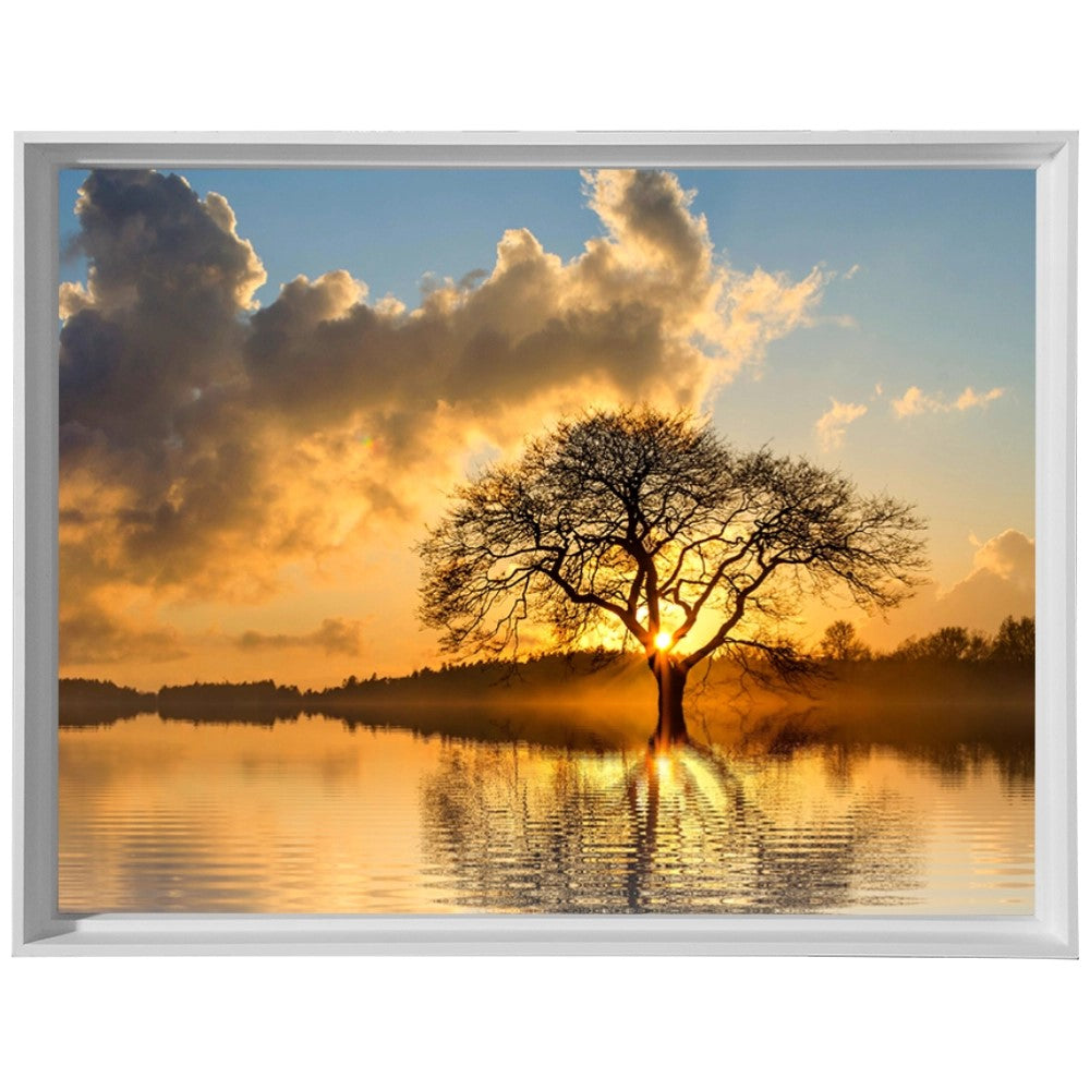 Raízes do Entardecer