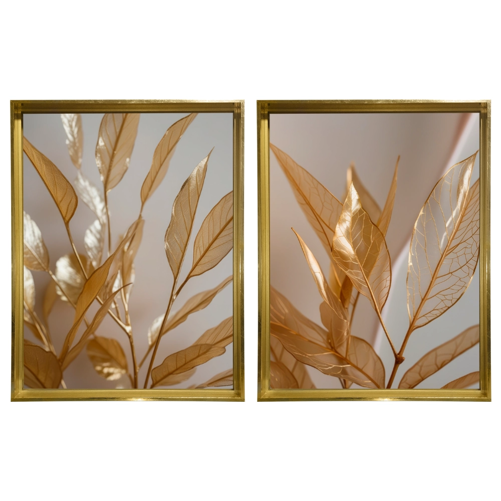 Kit 2 Quadros: Aura Nobre