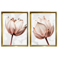Kit 2 Quadros: Floral Rosa Sublime