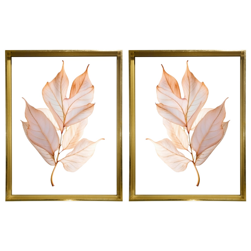 Kit 2 Quadros: Elegância Botânica - 50x70