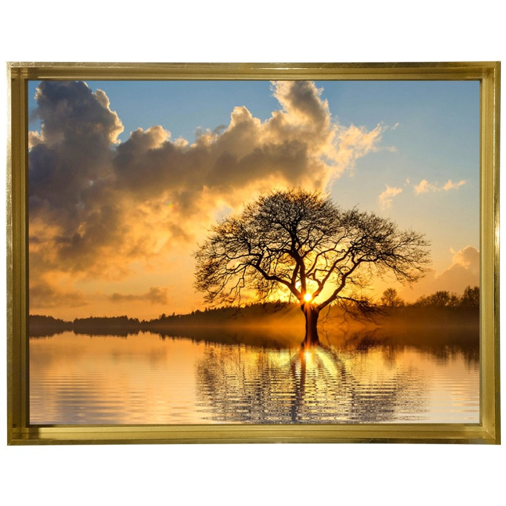 Raízes do Entardecer