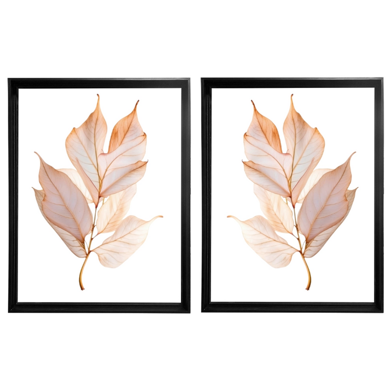 Kit 2 Quadros: Elegância Botânica - 50x70