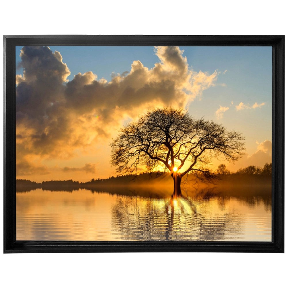 Raízes do Entardecer