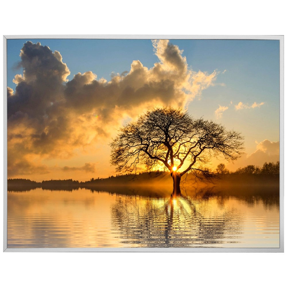 Raízes do Entardecer