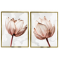 Kit 2 Quadros: Floral Rosa Sublime
