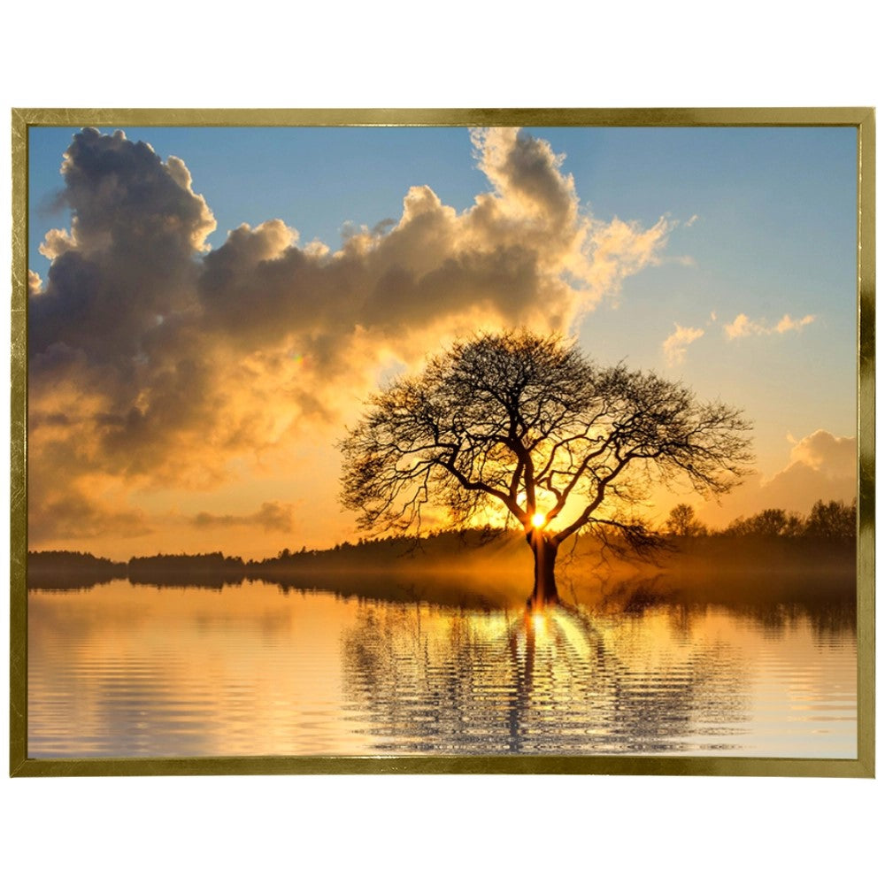 Raízes do Entardecer