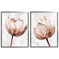Kit 2 Quadros: Floral Rosa Sublime