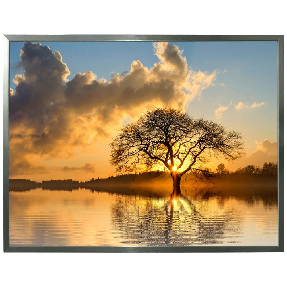 Raízes do Entardecer